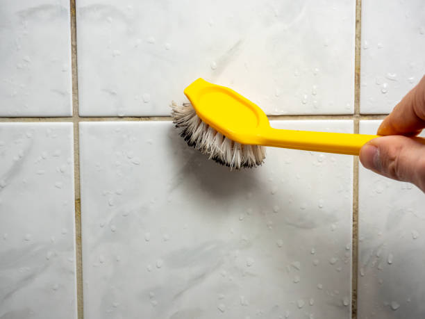Best Mold Remediation  in Port Hadlock Irondale, WA