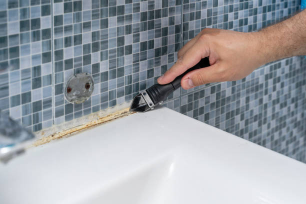 Best Commercial Mold Removal  in Port Hadlock Irondale, WA